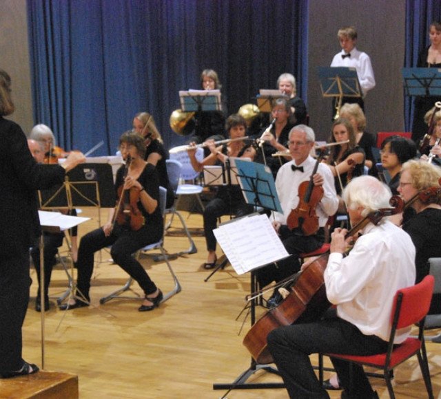 orchestra 2012 023